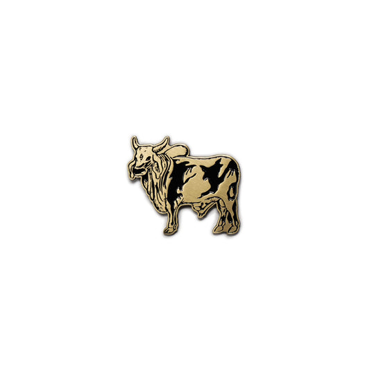 Cebú - Pin